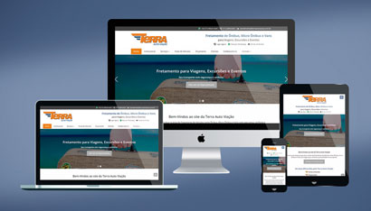Website | Terra Auto Viação